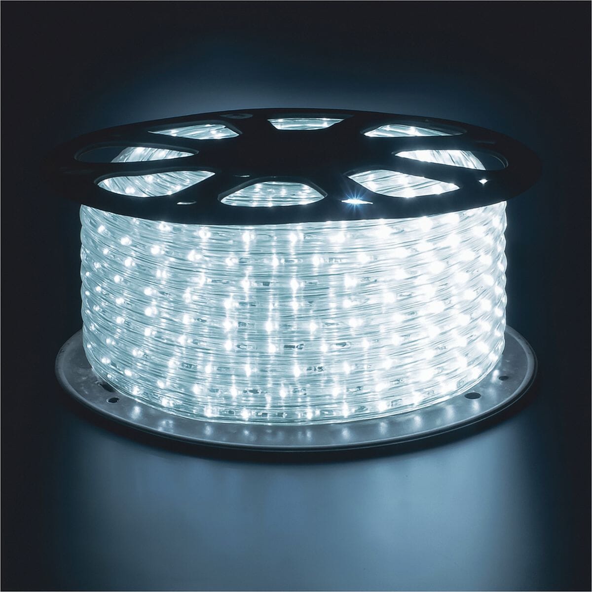 Eagle Static LED Rope Light with Wiring Kit Accessories - Cool White Rope Lights Eagle