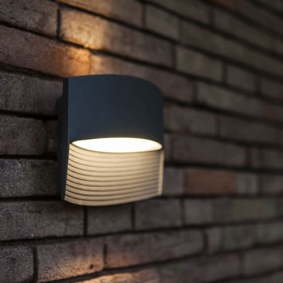 Lotus Wall Light - Dark Grey Wall Lights Lutec