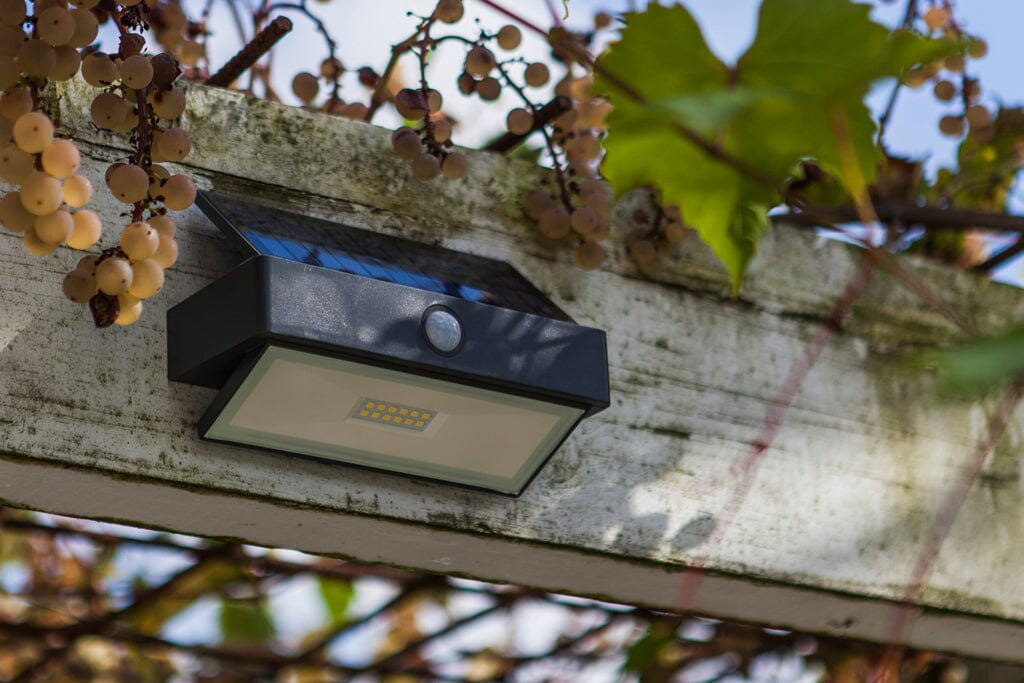 Lutec Arrow 2.3W Solar LED Wall Light with PIR Sensor 5000K - Dark Grey Wall Lights Lutec