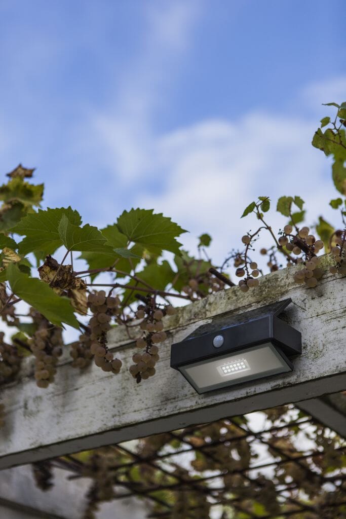 Lutec Arrow 2.3W Solar LED Wall Light with PIR Sensor 5000K - Dark Grey Wall Lights Lutec