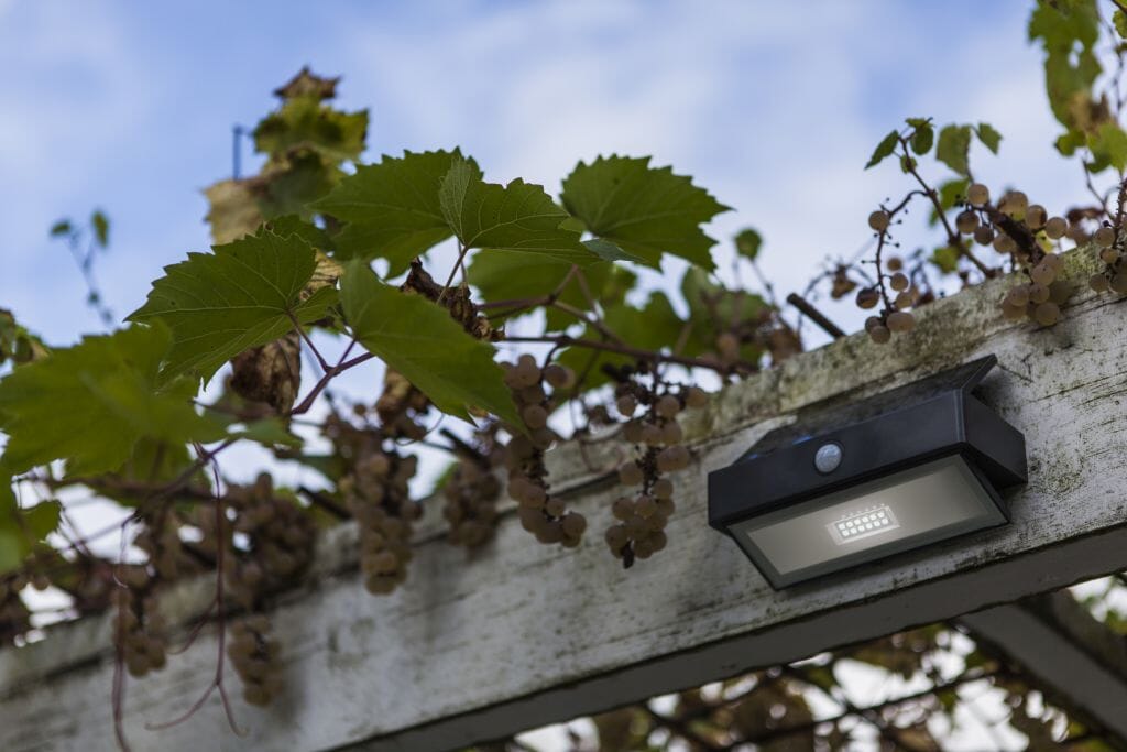 Lutec Arrow 2.3W Solar LED Wall Light with PIR Sensor 5000K - Dark Grey Wall Lights Lutec