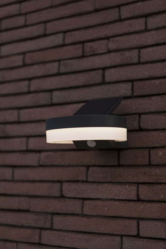 Lutec Runda 12W Solar LED Wall Light with PIR Sensor 4000K - Dark Grey Wall Lights Lutec