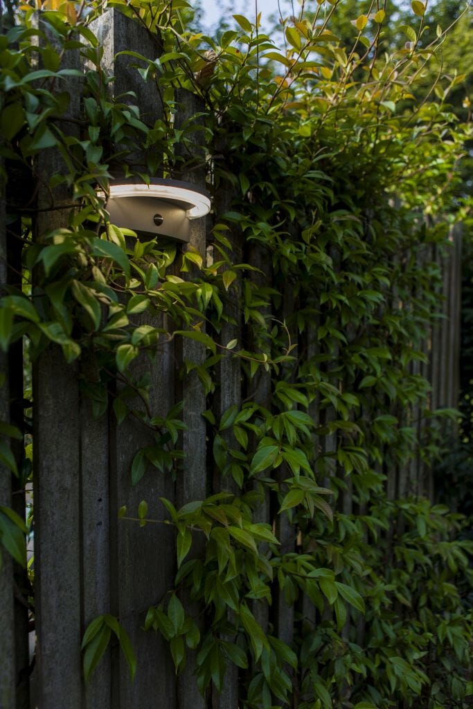 Lutec Vyzor 7W Solar LED Wall Light with PIR Sensor 4000K - Dark Grey Wall Lights Lutec