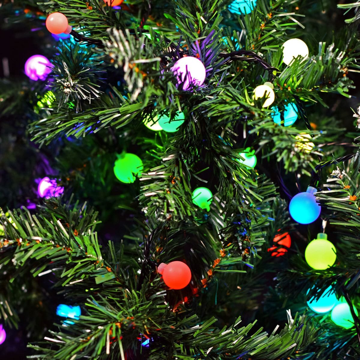Mixed RGB Berry String Lights - 20 Metres String Lights Lyyt