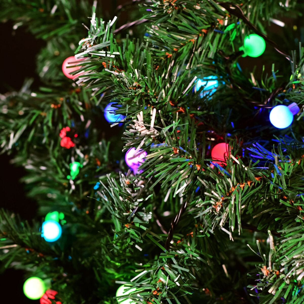 Multicolour 14mm Berry String Lights - 20 Metres String Lights Lyyt