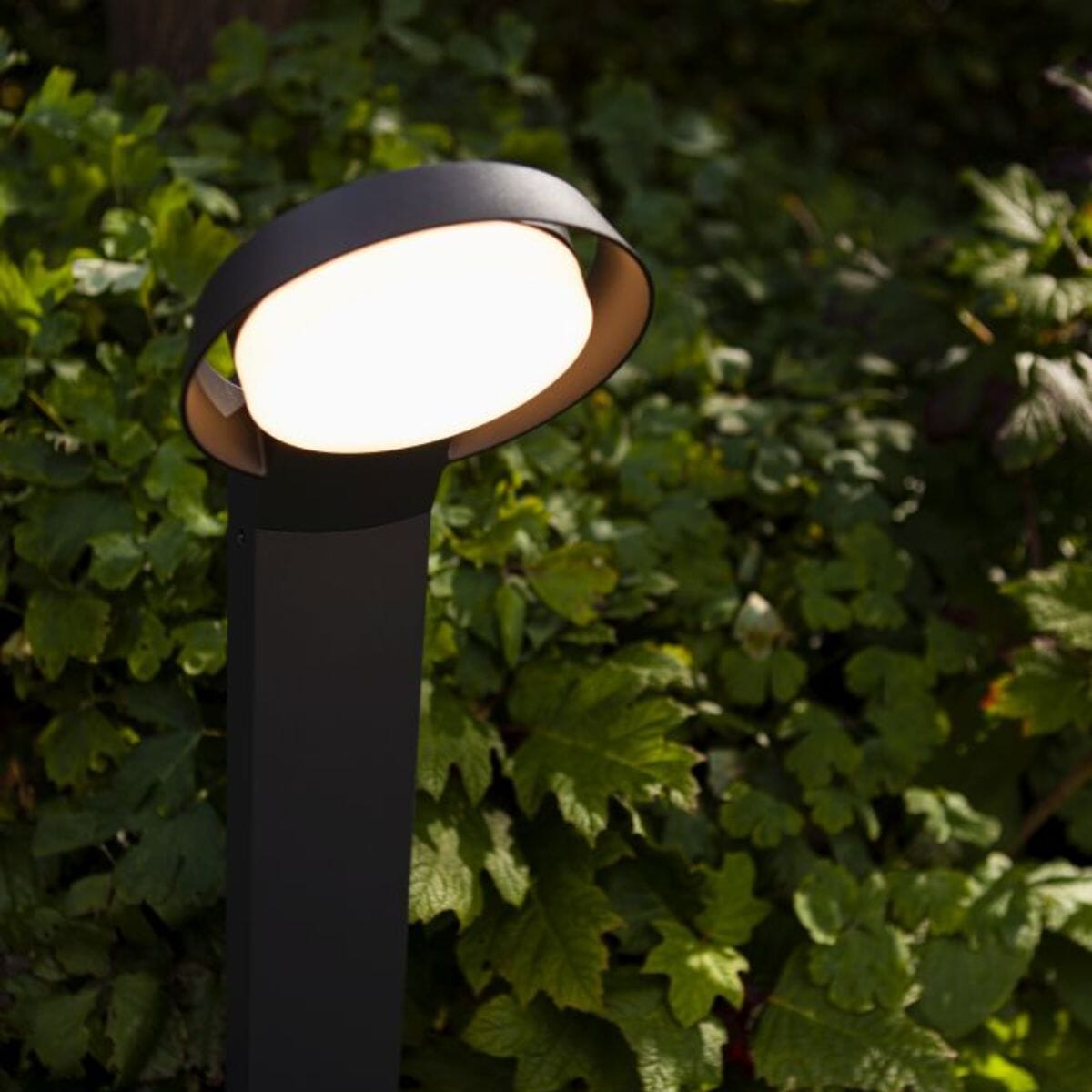 Polo Integrated LED Bollard Light - Dark Grey Bollard Lights Lutec