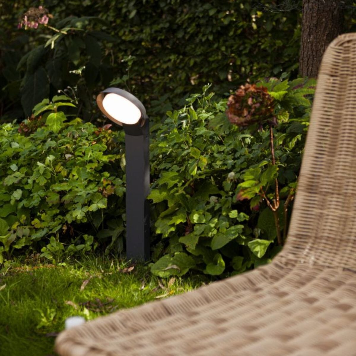 Polo Integrated LED Bollard Light - Dark Grey Bollard Lights Lutec