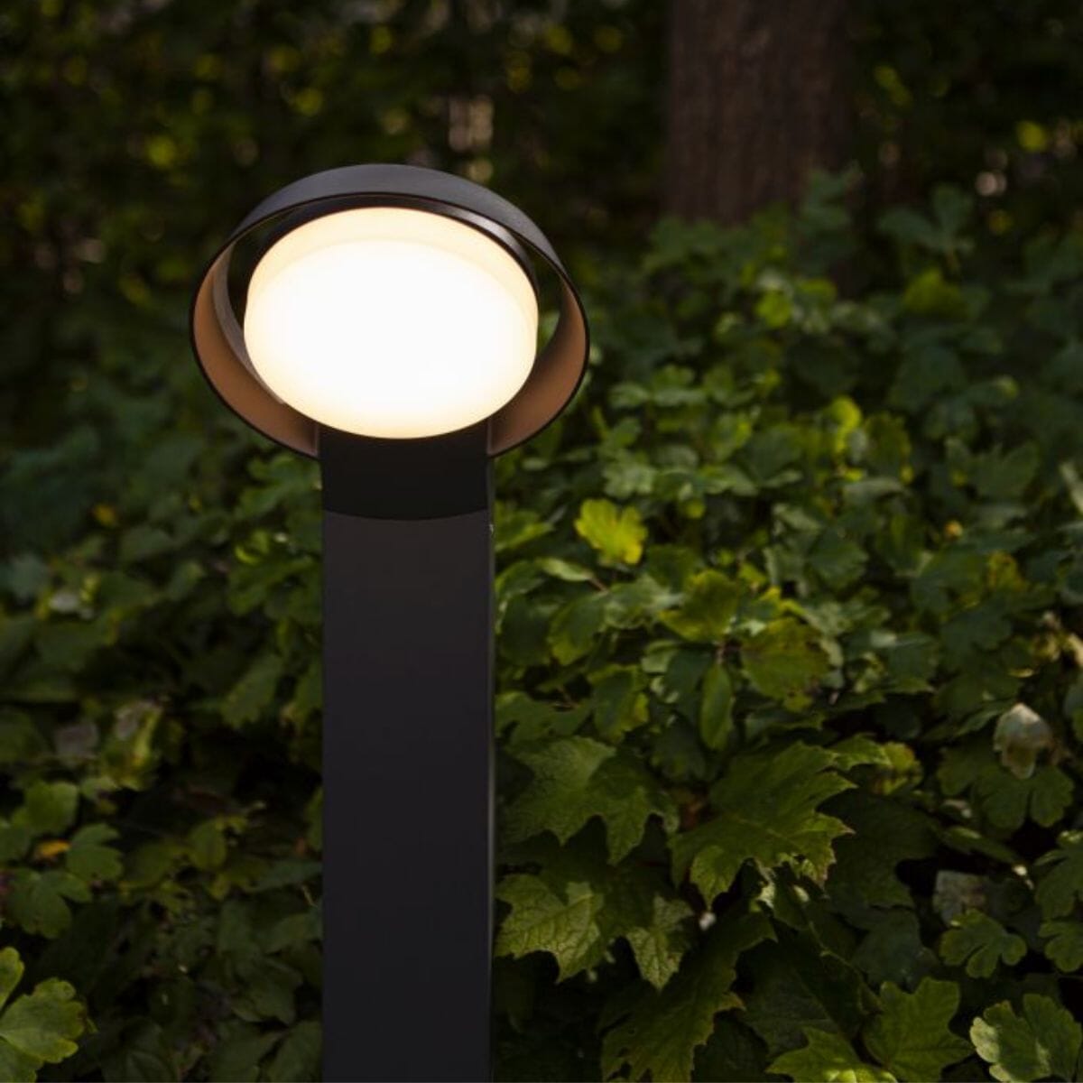 Polo Integrated LED Bollard Light - Dark Grey Bollard Lights Lutec