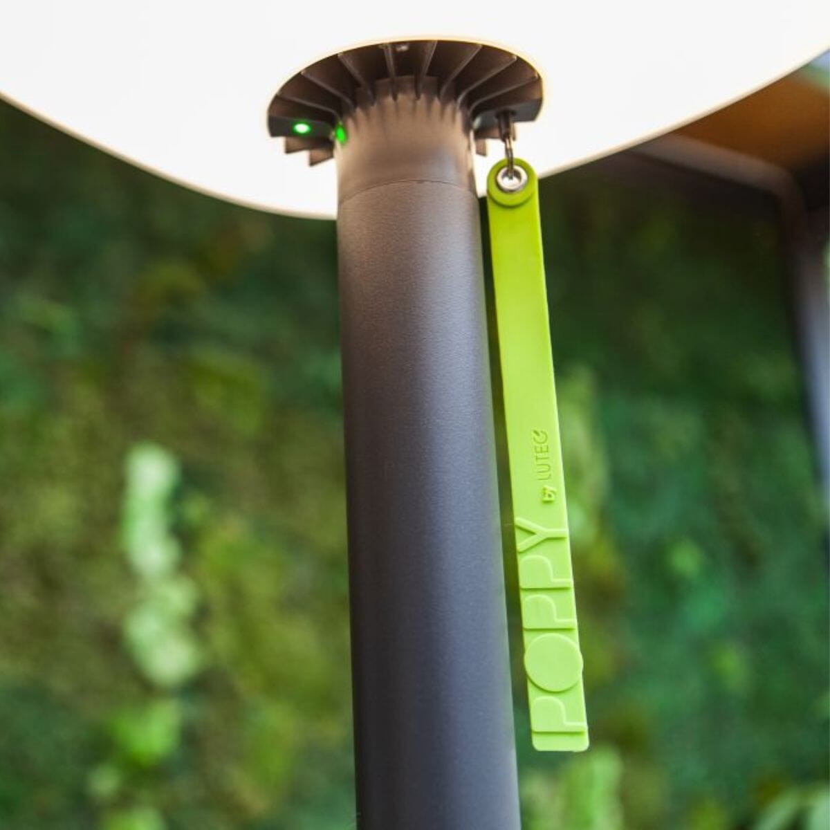 Poppy Solar Portable Post - Dark Grey Solar Lights Lutec