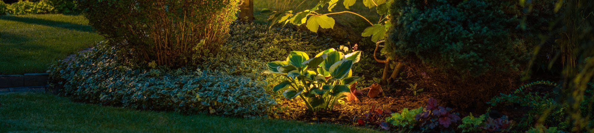 Outdoor Spike Lights