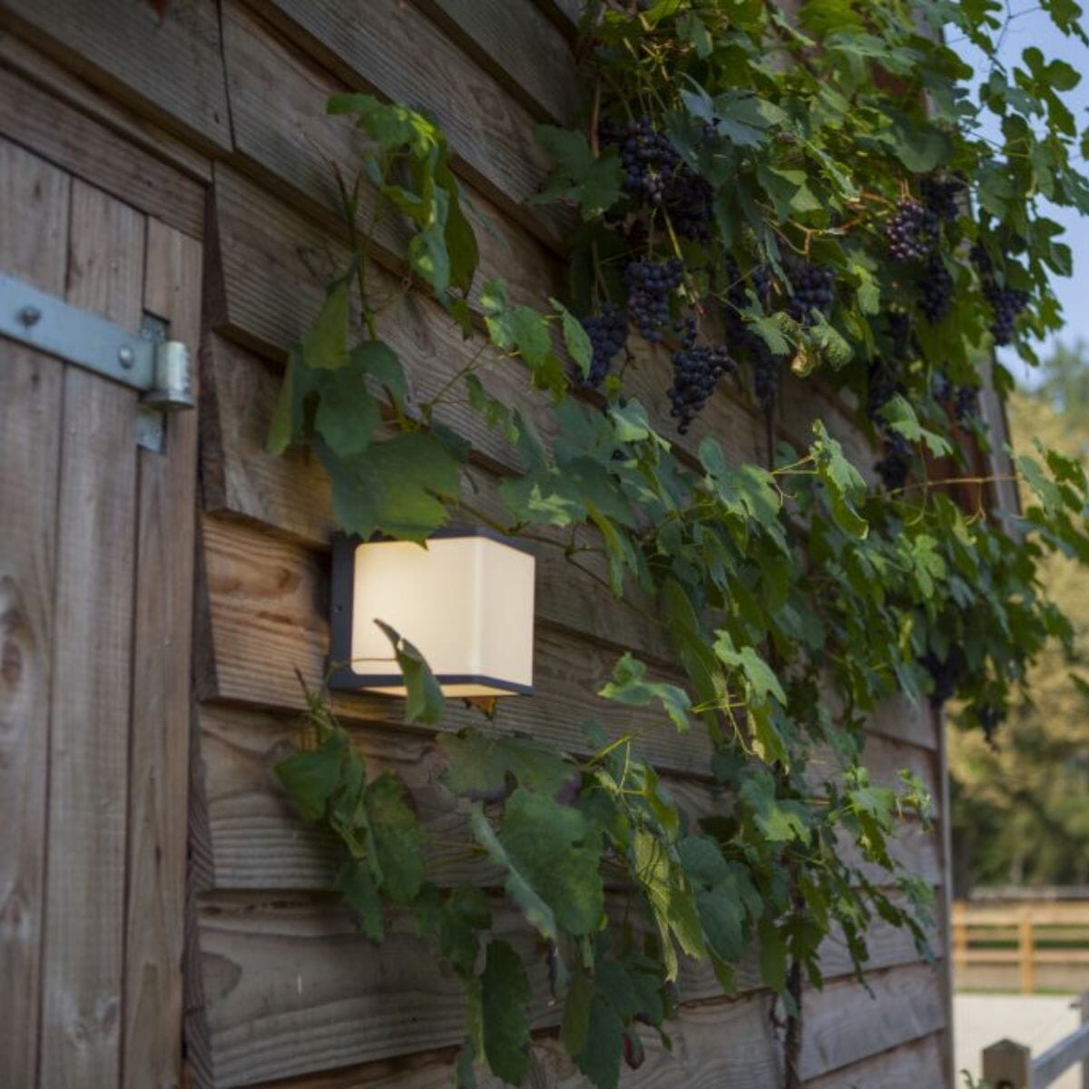 Doblo Wall Light - Dark Grey Wall Lights Lutec