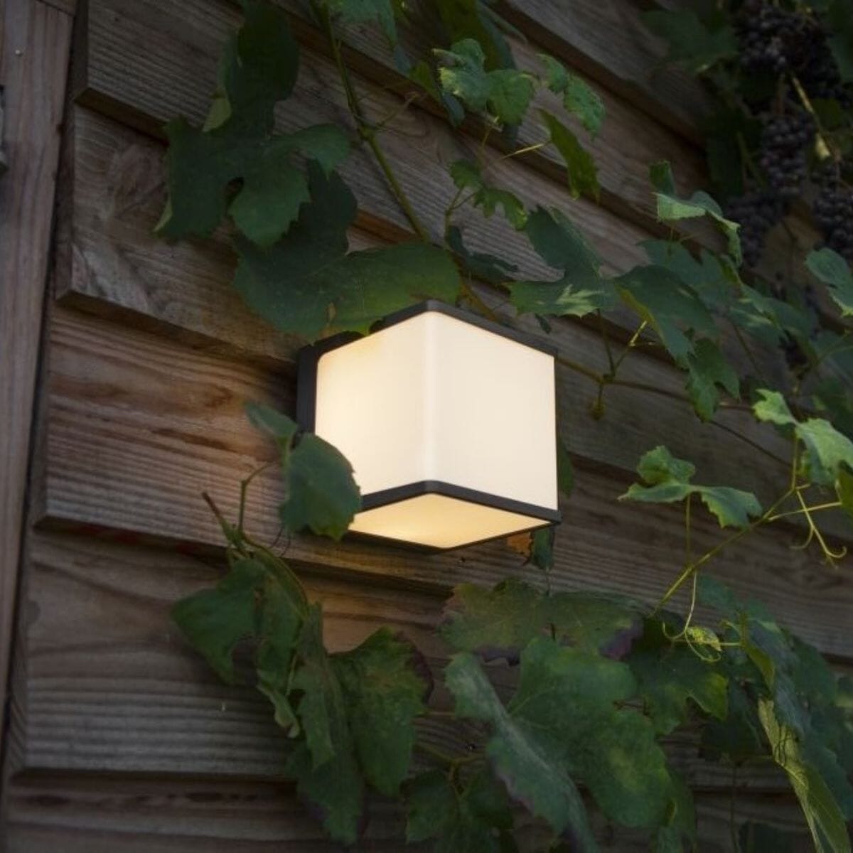 Doblo Wall Light - Dark Grey Wall Lights Lutec
