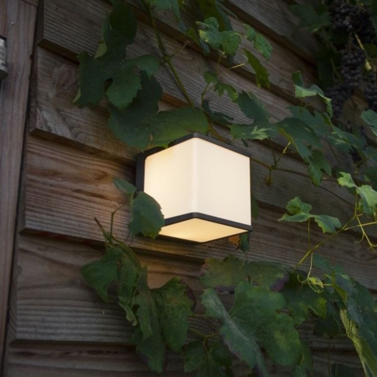 Doblo Wall Light - Dark Grey Wall Lights Lutec