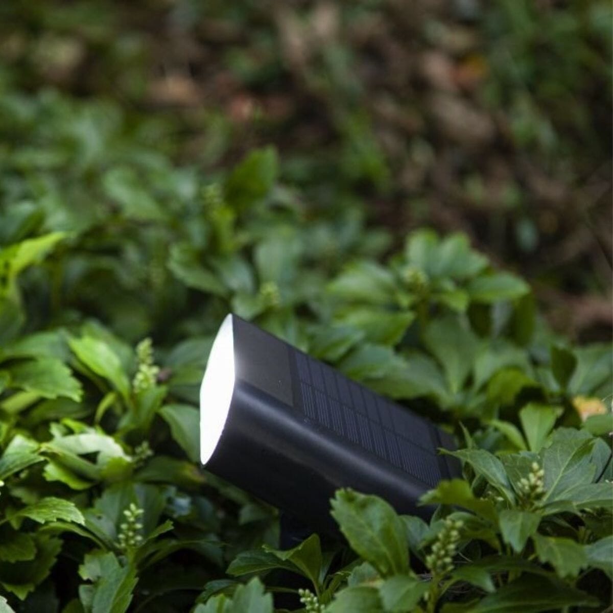 Ginbo Solar Ground Light - Matt Black Ground Lights Lutec