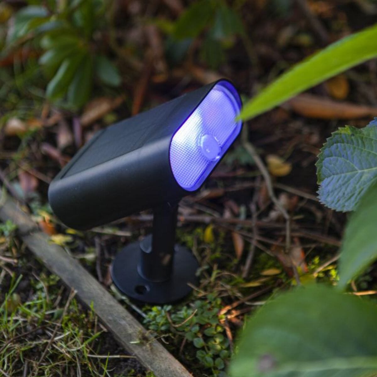 Ginbo Solar Ground Light - Matt Black Ground Lights Lutec