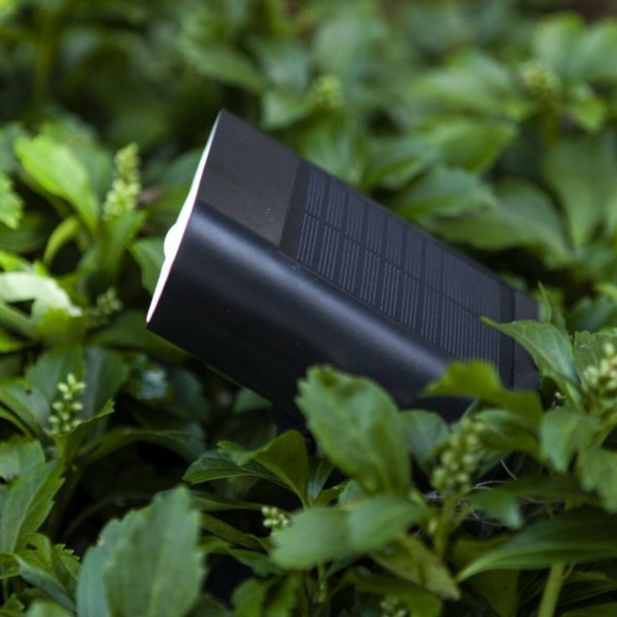 Ginbo Solar Ground Light - Matt Black Ground Lights Lutec