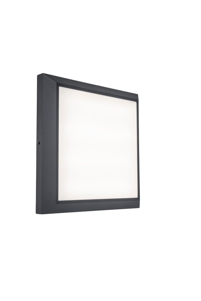 Helena Integrated LED Wall & Ceiling Light - Dark Grey - Square Wall Lights Lutec