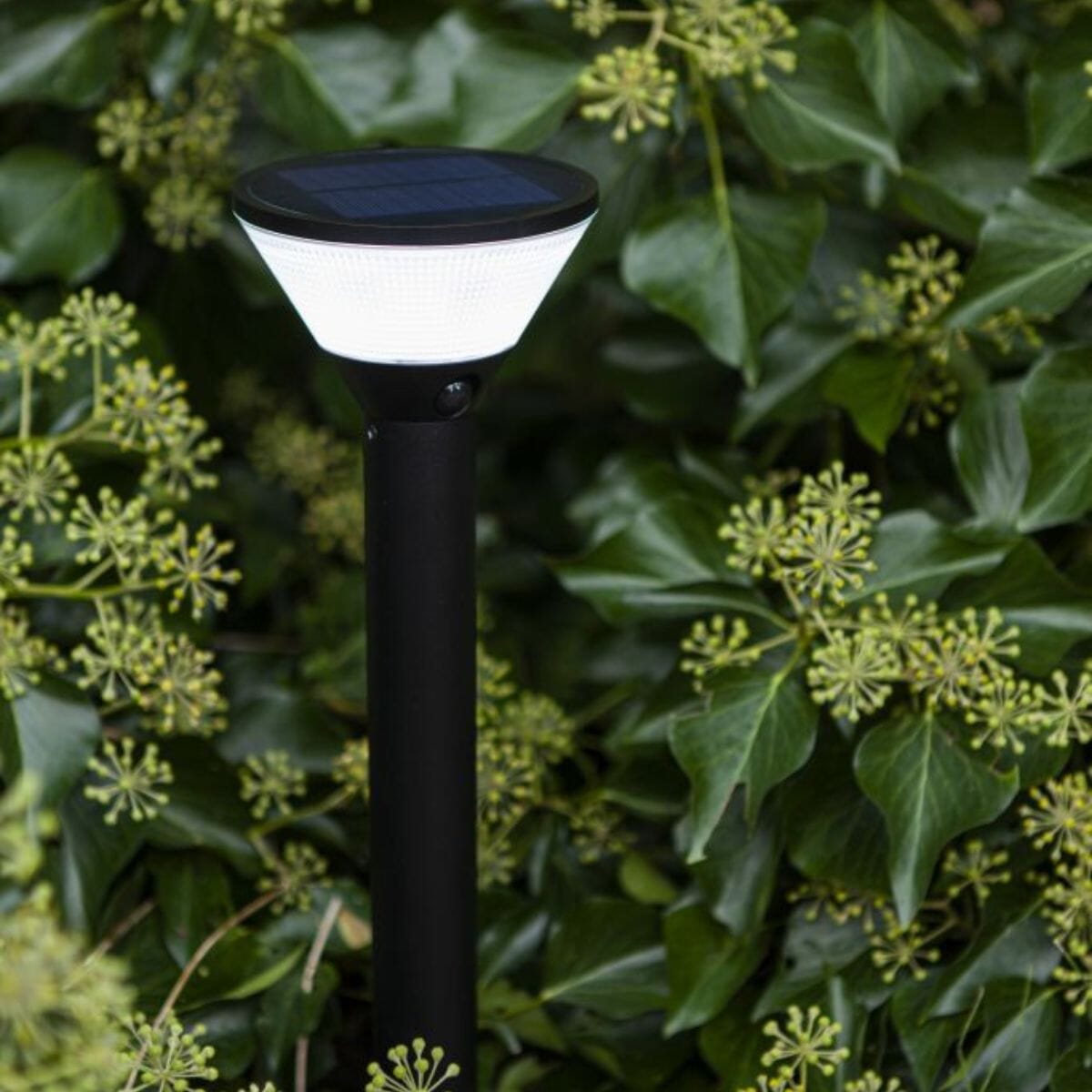 Karlo Spike Lights with Solar Pannel - Stainless Steel Spike Lights Lutec