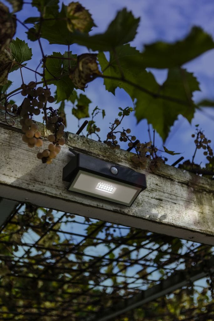 Lutec Arrow 2.3W Solar LED Wall Light with PIR Sensor 5000K - Dark Grey Wall Lights Lutec 