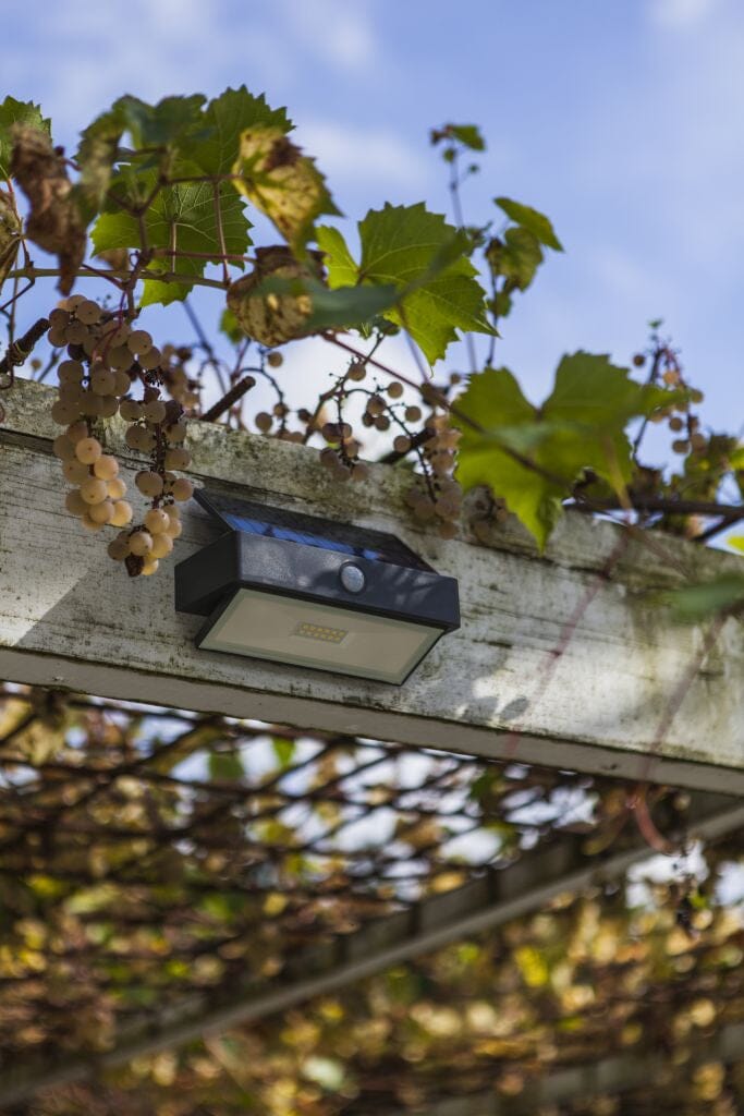 Lutec Arrow 2.3W Solar LED Wall Light with PIR Sensor 5000K - Dark Grey Wall Lights Lutec 