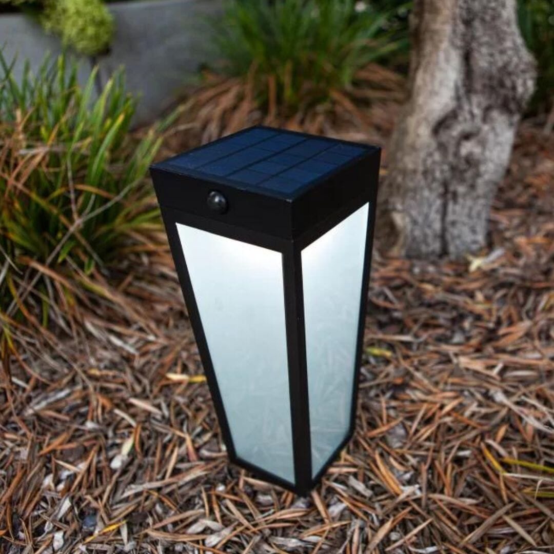 Lutec Dias Solar PIR Colour Changing Light LED - Black Solar Lights Lutec