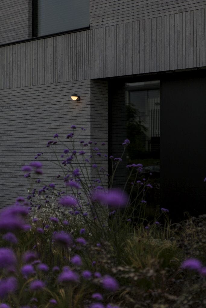 Lutec Looma 7.8W LED Outdoor Wall Light 3000K - Dark Grey Wall Lights Lutec 