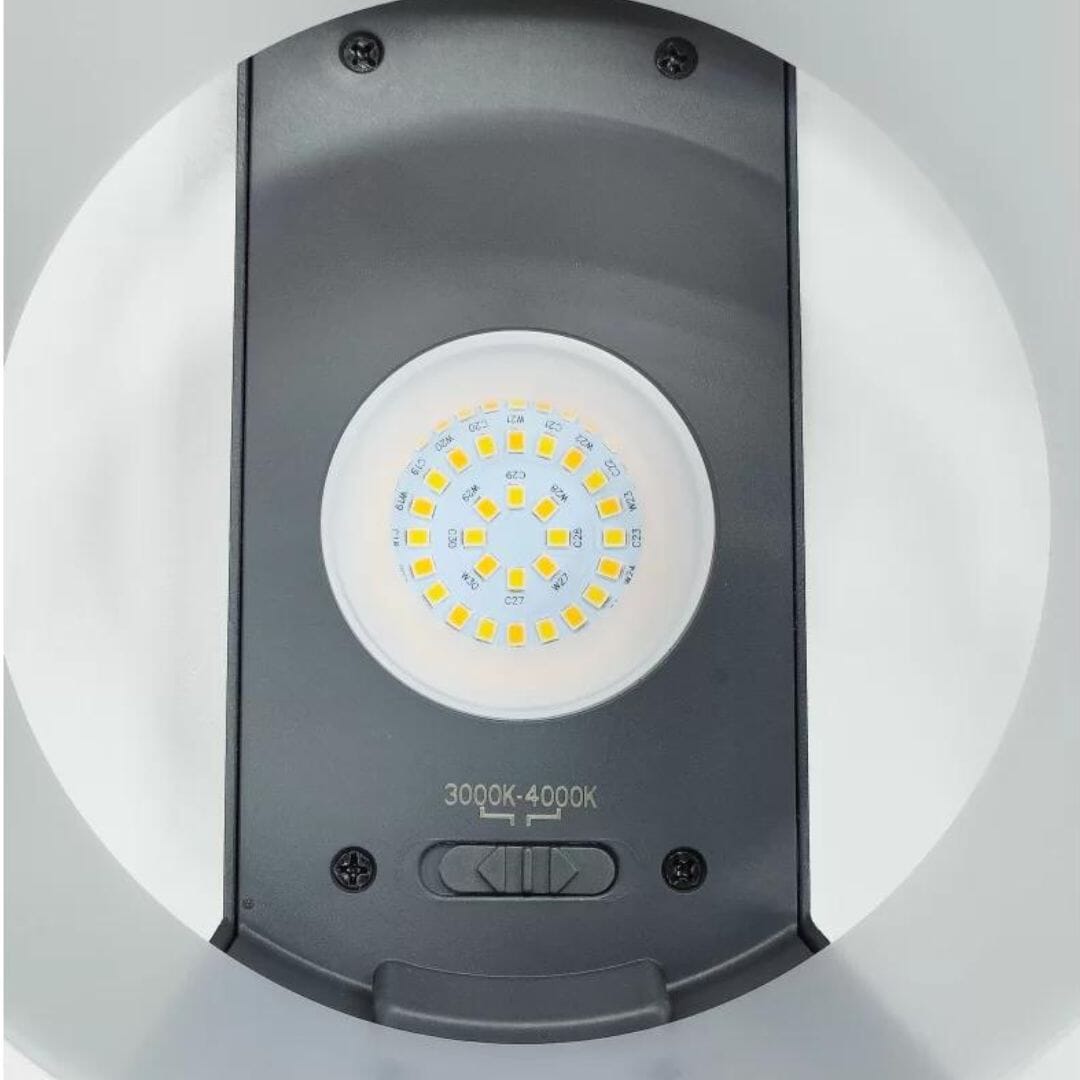 Lutec Moon Outdoor Wall Light LED Wall Lights Lutec