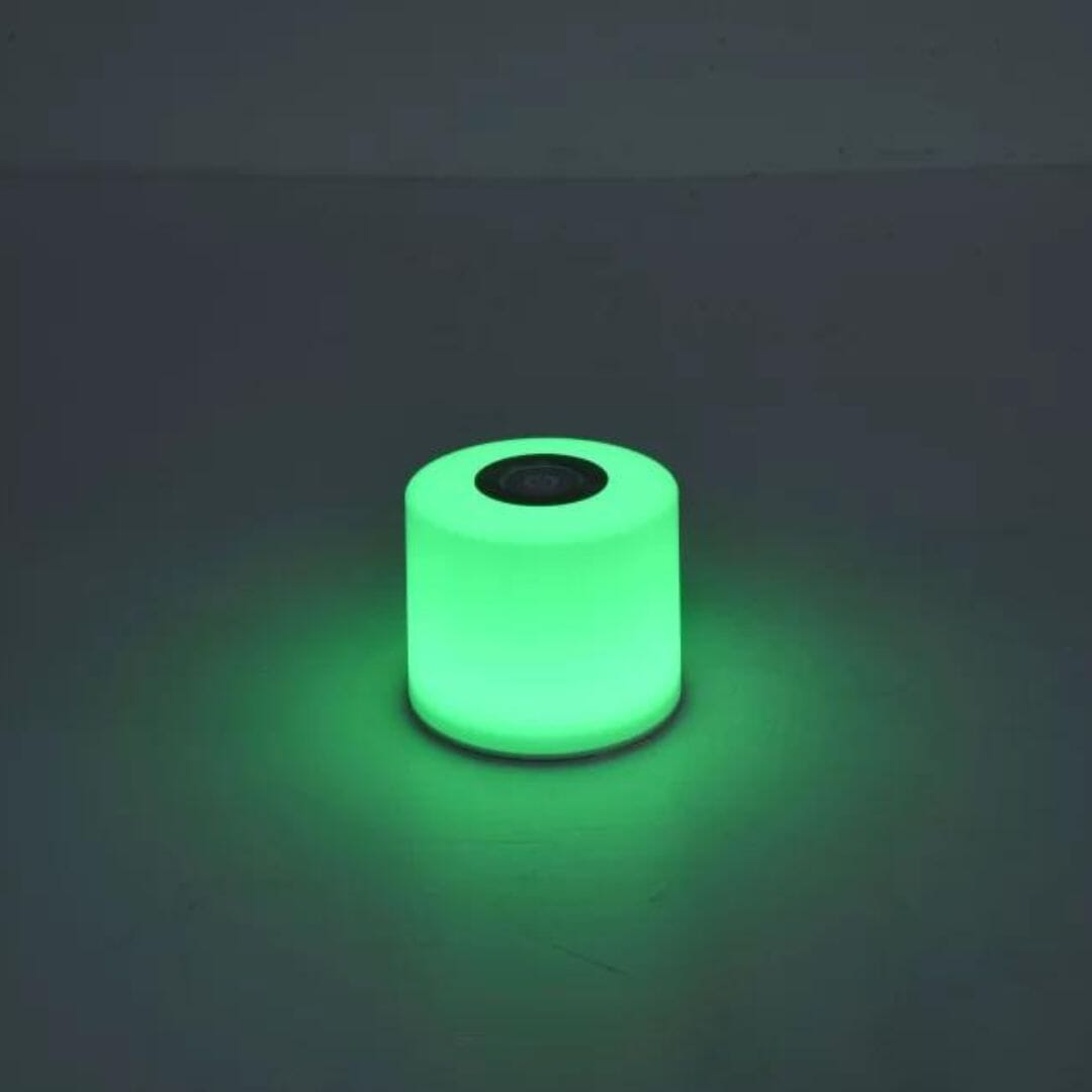 Lutec NOMA Set of 2 Portable Solar Lights - Colour Changing Portable Lights Lutec