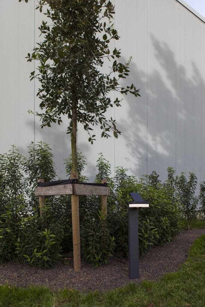 Lutec Runda Solar Bollard Light with PIR Sensor 4000K - Dark Grey Bollard Lights Lutec 
