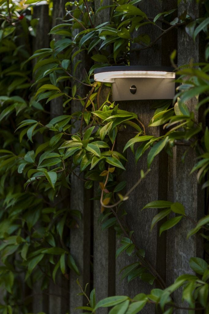 Lutec Vyzor 7W Solar LED Wall Light with PIR Sensor 4000K - Dark Grey Wall Lights Lutec 