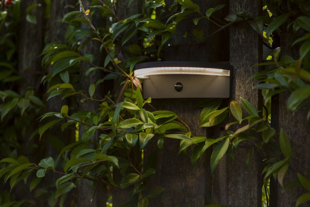 Lutec Vyzor 7W Solar LED Wall Light with PIR Sensor 4000K - Dark Grey Wall Lights Lutec 