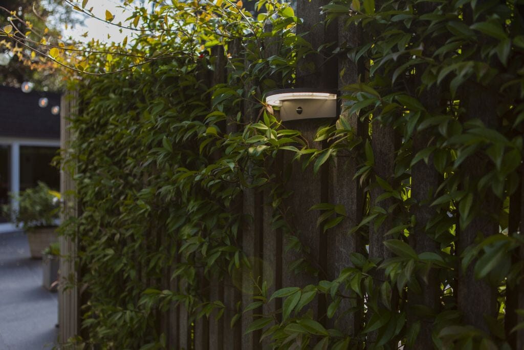 Lutec Vyzor 7W Solar LED Wall Light with PIR Sensor 4000K - Dark Grey Wall Lights Lutec 
