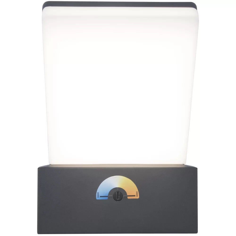 Pano Integrated LED Wall Light With Adjustable Cct - Dark Grey Wall Lights Lutec