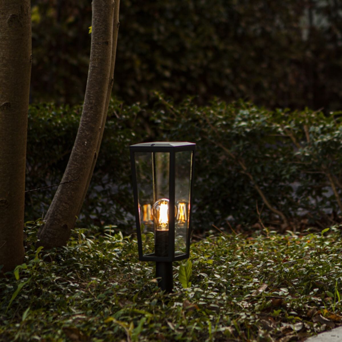 Pine Lantern Light - Matt Black Lantern Lights Lutec