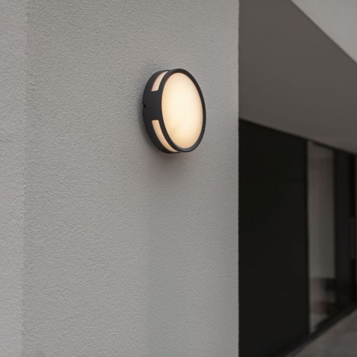 Rola Ceiling Light - Dark Grey Ceiling Lights Lutec